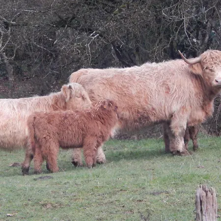 A La Source Du Saolon