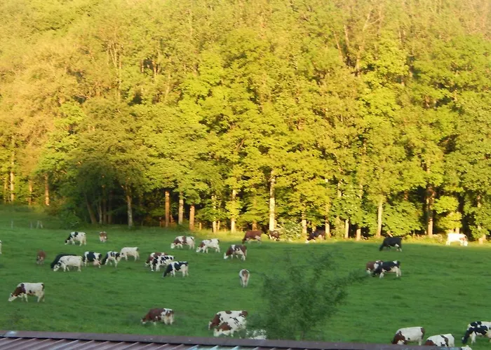 A La Source Du Saolon 3*